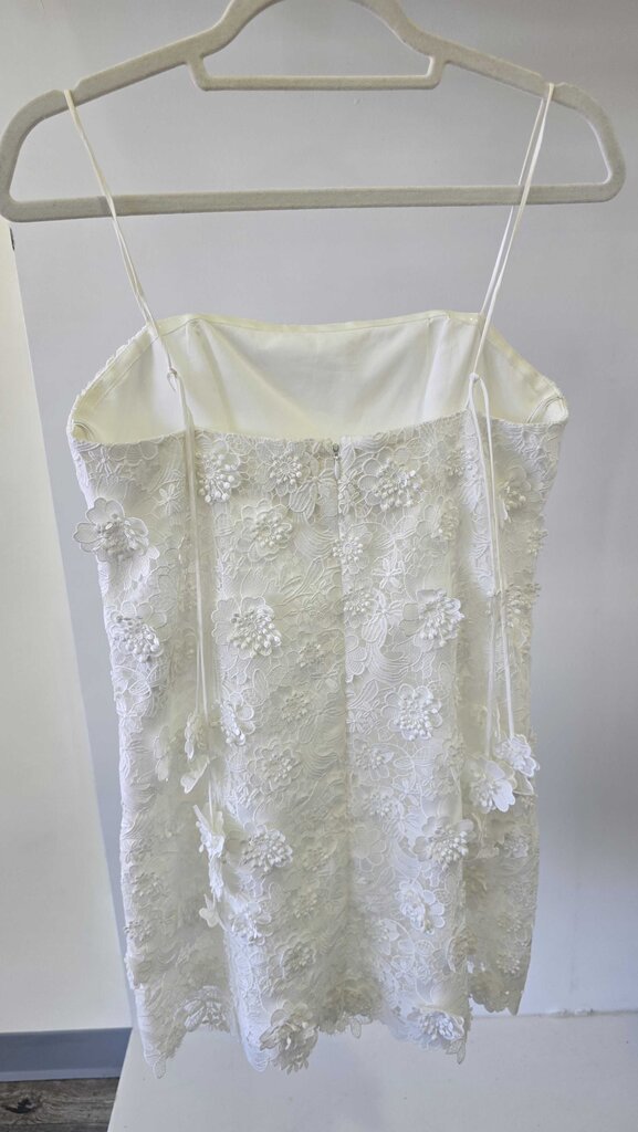 Zimmerman Raie Lace Flower Mini Dress