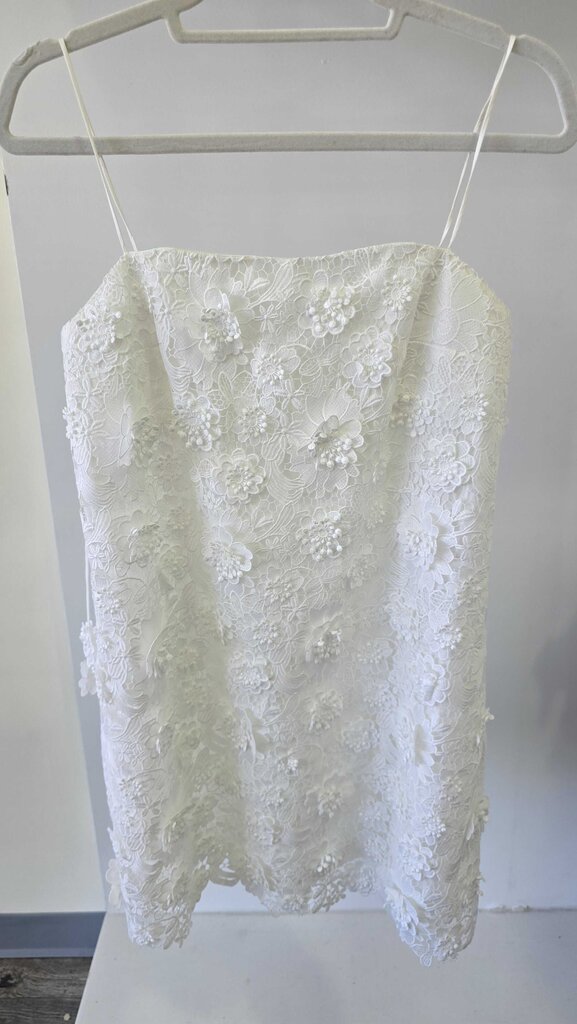 Zimmerman Raie Lace Flower Mini Dress