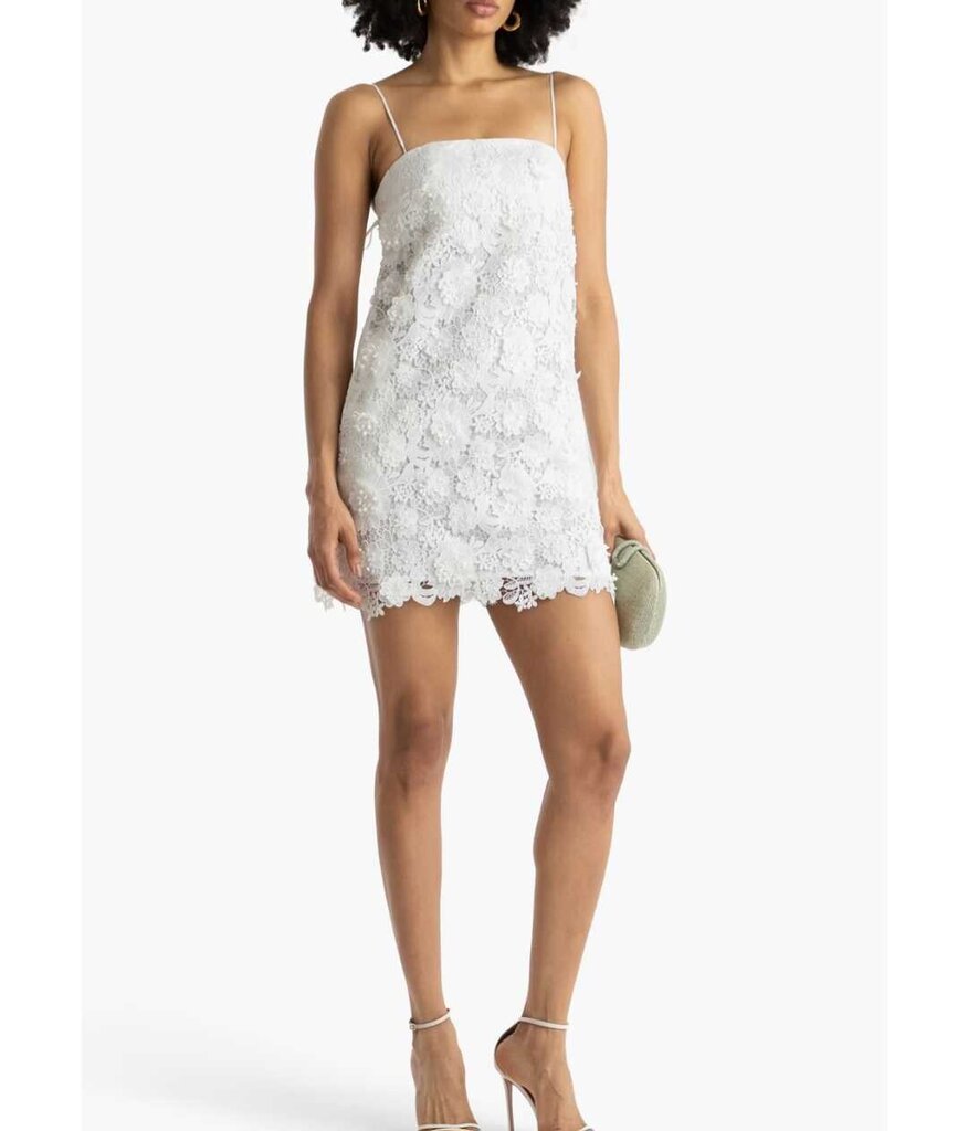 Zimmerman Raie Lace Flower Mini Dress