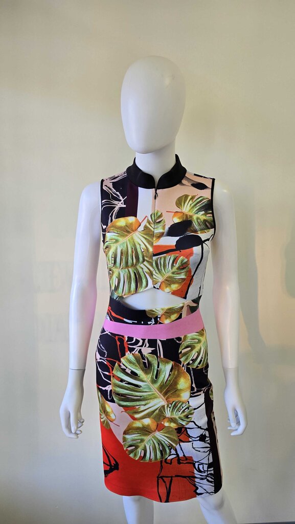 Clover Canyon Fitted Cutout Printed Dress