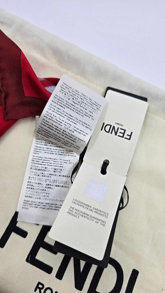 Fendi Printed Silk Scarf