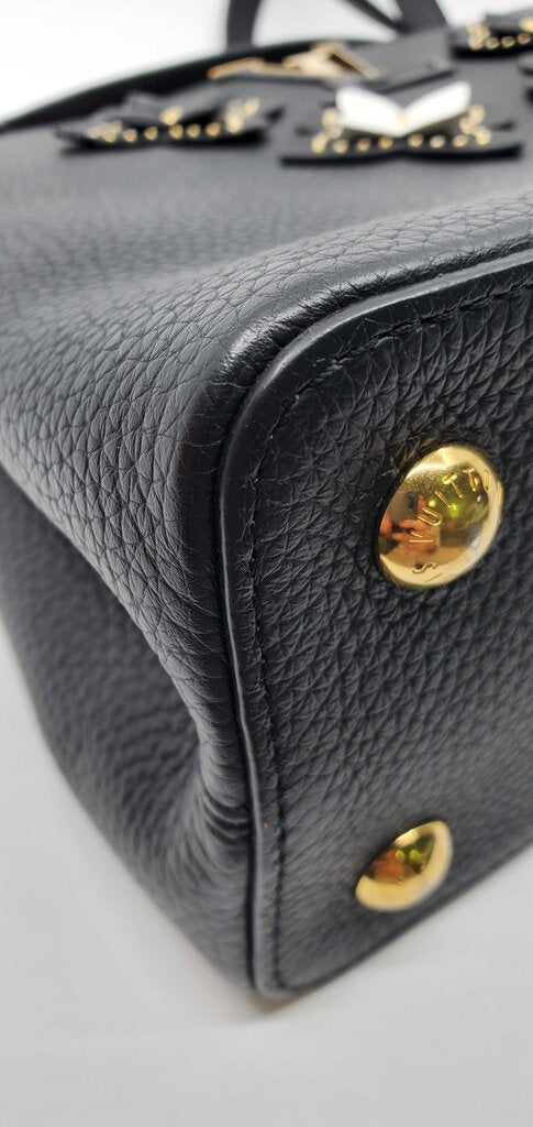 Louis Vuitton Flower Capucines MM