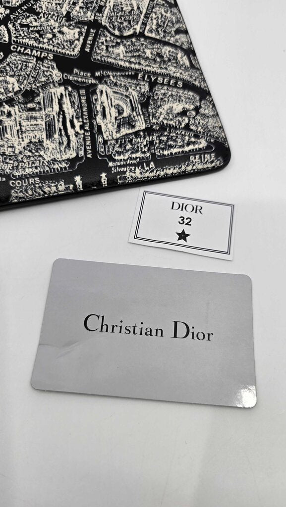 Dior Plan de Paris Pouch
