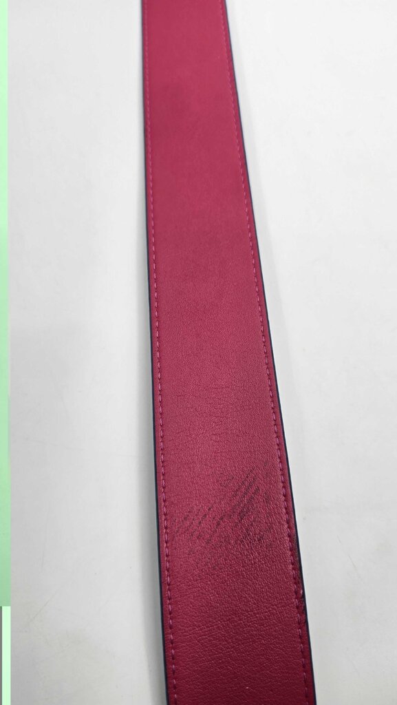 Louis Vuitton Epi Bandouliere Strap