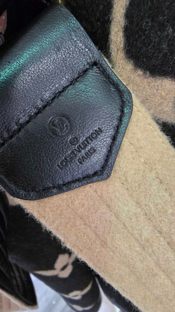 Louis Vuitton Hooded Coat