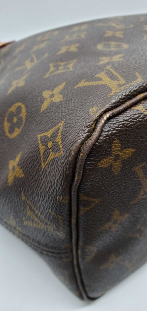 Louis Vuitton Neverfull MM Monogram