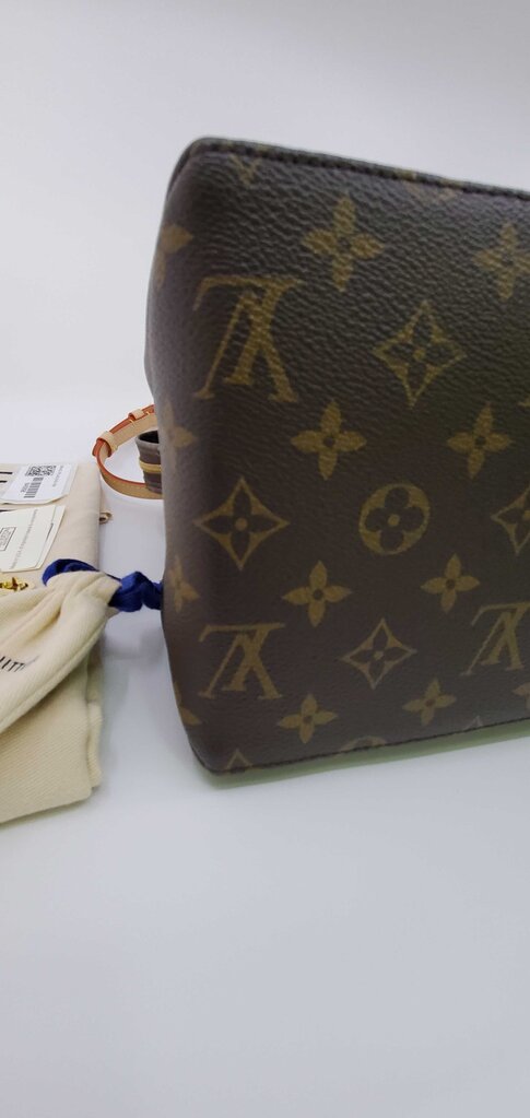 Louis Vuitton Grand Palais Monogram Bag