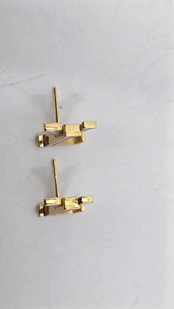 LOUIS VUITTON ICONIC ENAMEL EARRINGS