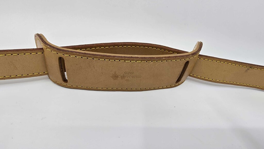 Louis Vuitton Monogram Garment Bag