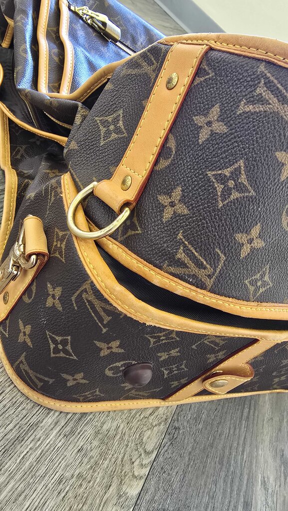 Louis Vuitton Monogram Garment Bag