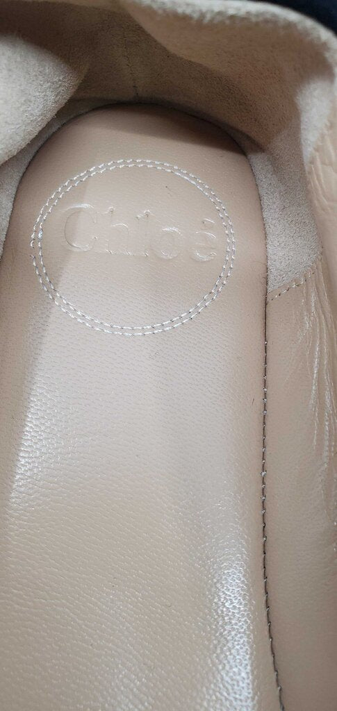 Chloe Skye velvet flats featuring gold "little horses" embroidery