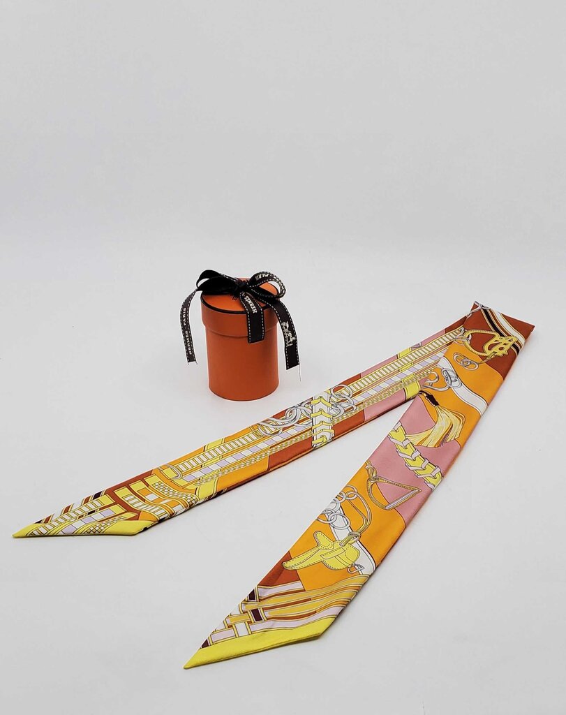Hermès Brides et Gris-Gris Twilly scarf