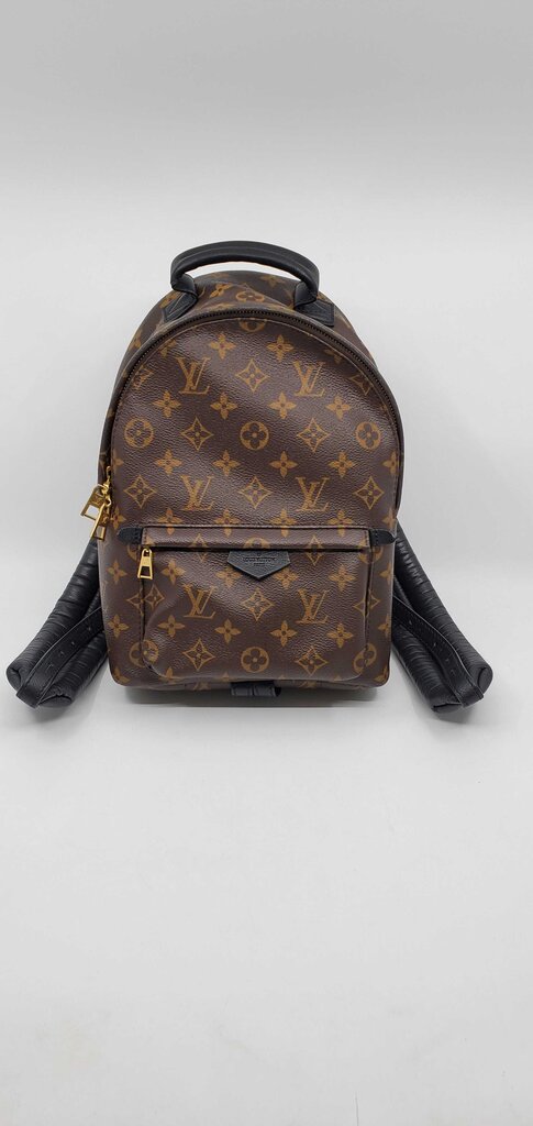 Louis Vuitton Palm Springs PM backpack