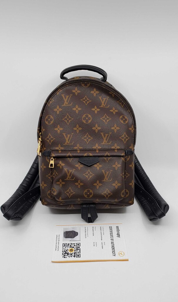 Louis Vuitton Palm Springs PM backpack