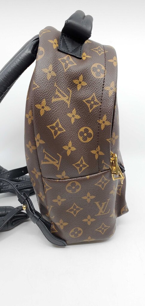 Louis Vuitton Palm Springs PM backpack
