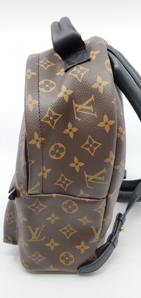 Louis Vuitton Palm Springs PM backpack
