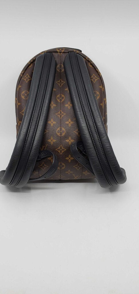 Louis Vuitton Palm Springs PM backpack