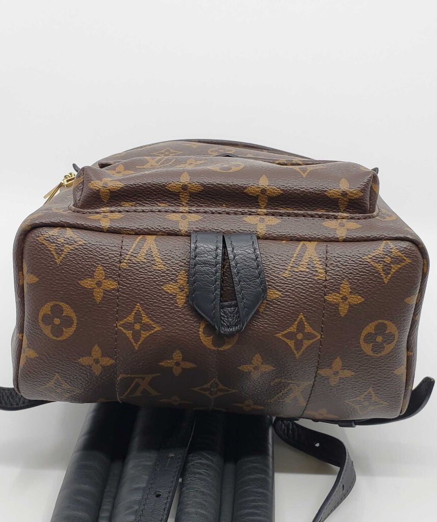 Louis Vuitton Palm Springs PM backpack