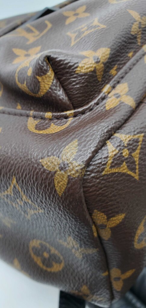 Louis Vuitton Palm Springs PM backpack