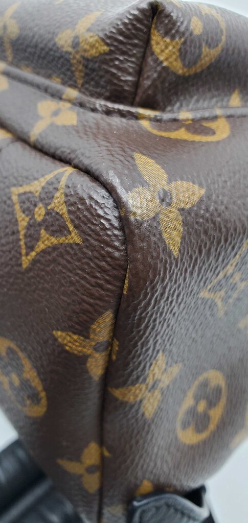 Louis Vuitton Palm Springs PM backpack