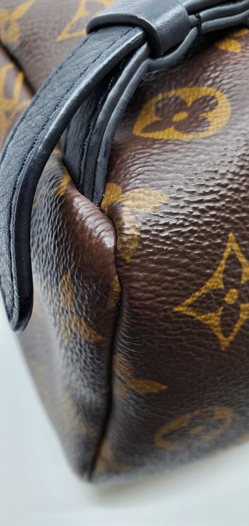 Louis Vuitton Palm Springs PM backpack