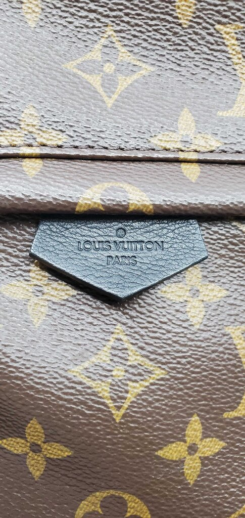 Louis Vuitton Palm Springs PM backpack