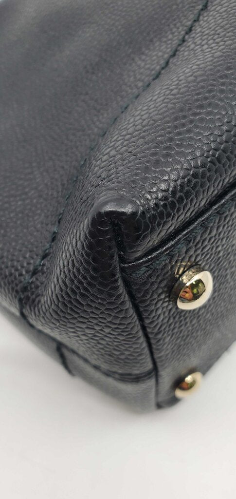 Chanel Cavier Timeless Wood Chain Hobo Bag