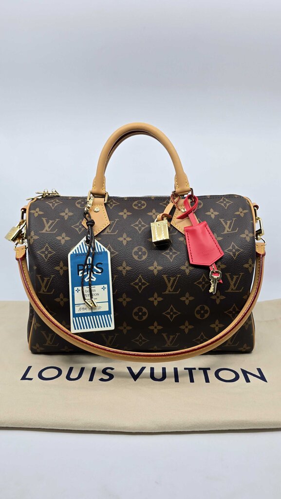 Louis Vuitton Speedy Soft 30 Crafty