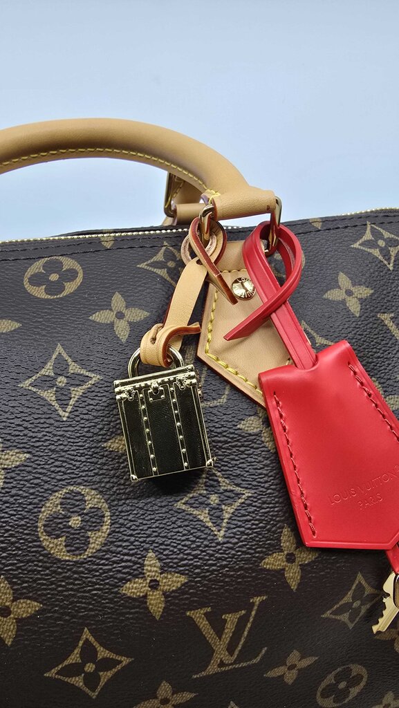 Louis Vuitton Speedy Soft 30 Crafty