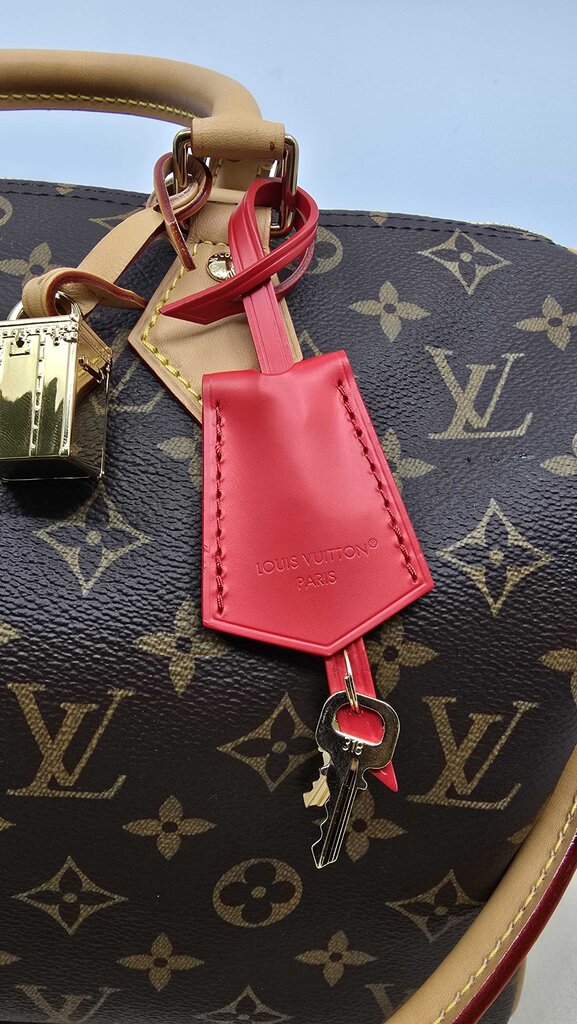 Louis Vuitton Speedy Soft 30 Crafty