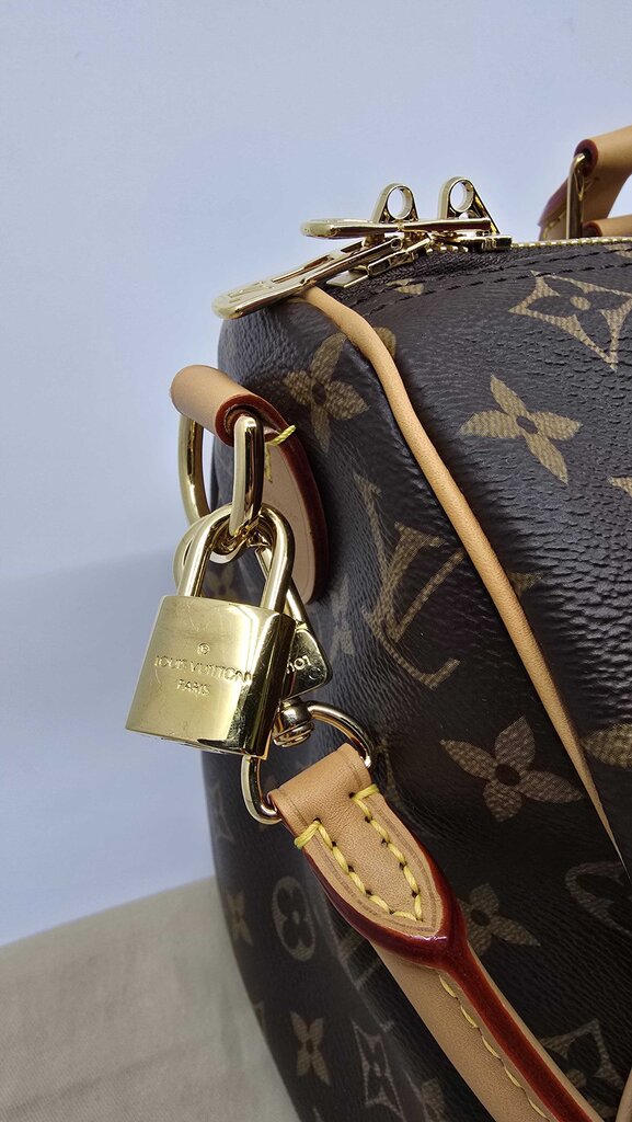 Louis Vuitton Speedy Soft 30 Crafty