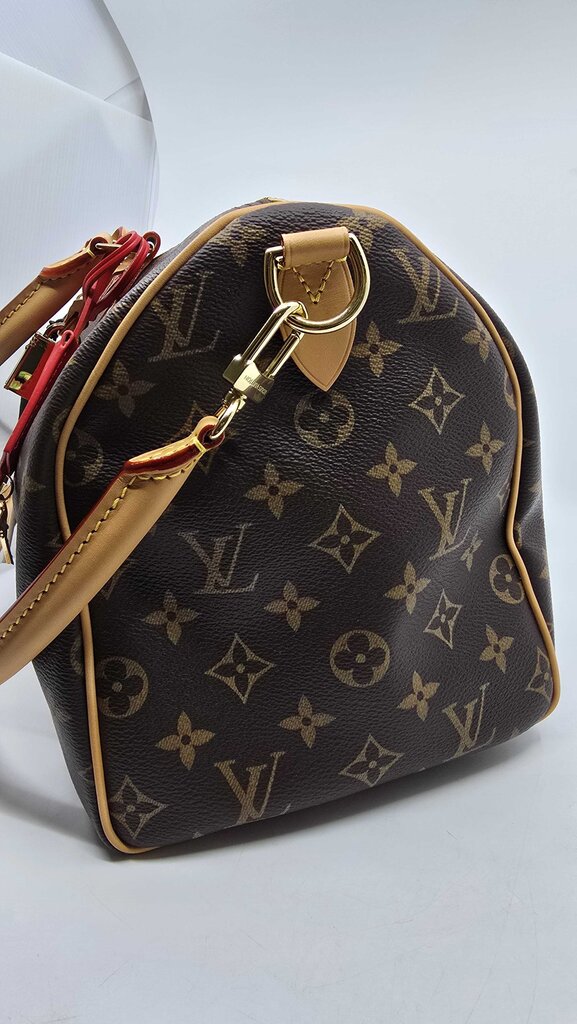 Louis Vuitton Speedy Soft 30 Crafty