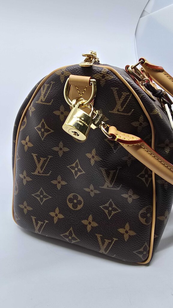 Louis Vuitton Speedy Soft 30 Crafty