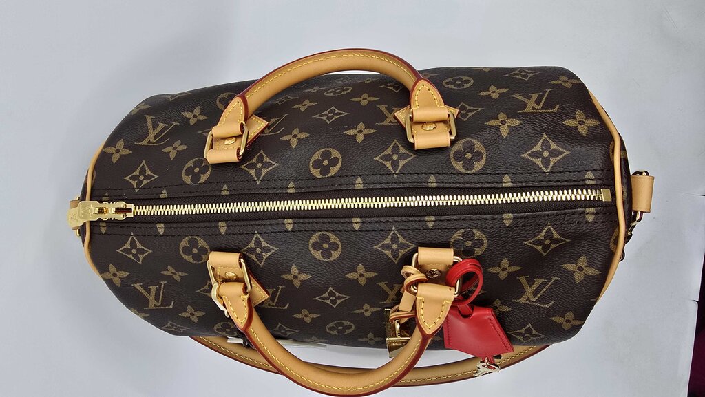 Louis Vuitton Speedy Soft 30 Crafty