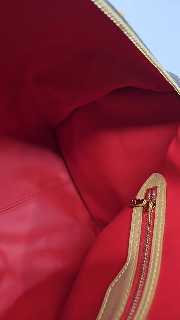 Louis Vuitton Speedy Soft 30 Crafty