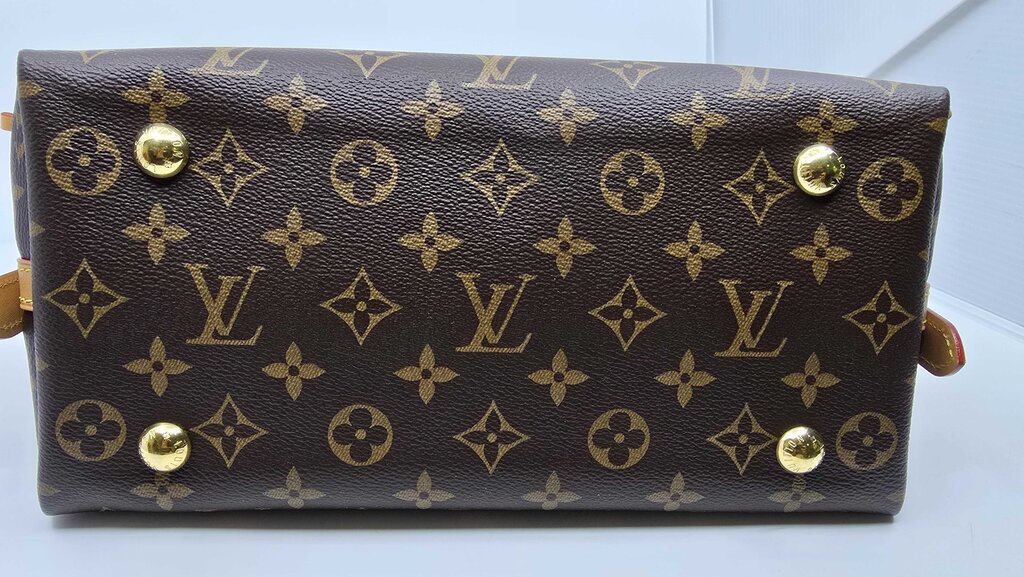 Louis Vuitton Carry All PM Monogram